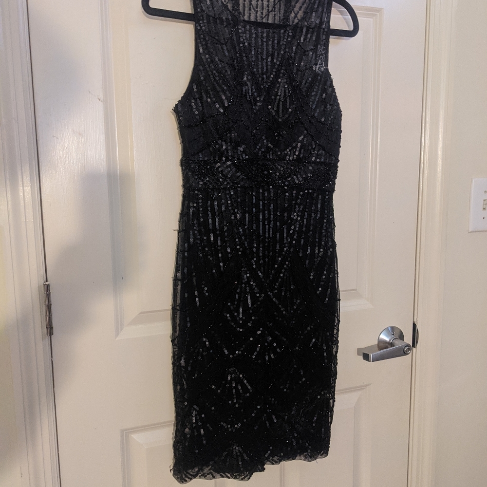 Sue Wong Nocturne Dress